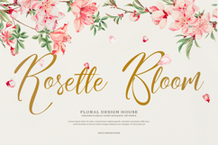 Nomesyl Bridella | Beauty Calligraphy Script Product Image 2