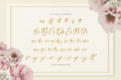 Nomesyl Bridella | Beauty Calligraphy Script Product Image 12
