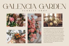 Nona Galene Product Image 9