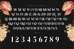 Noresa - Modern Display Font Product Image 18