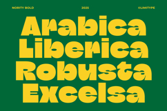 Nority - Inktrap Bold Font Product Image 3