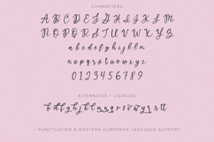 North Avenue Script Font Product Image 10