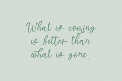 North Avenue Script Font Product Image 2