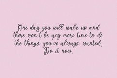 North Avenue Script Font Product Image 5