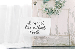 North Avenue Script Font Product Image 9