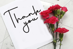 Northern Product Image 8