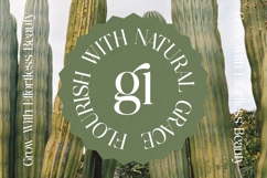 Nostalgic Flashy - Bold Serif Display Font Product Image 3