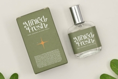 Nostalgic Flashy - Bold Serif Display Font Product Image 6