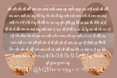 Nostalgic Frames - Handwritten Script Font Product Image 18