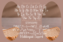 Nostalgic Frames - Handwritten Script Font Product Image 19