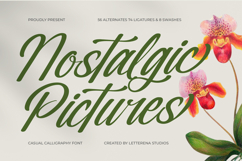 Nostalgic Pictures - Casual Calligraphy Font Product Image 1