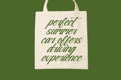 Nostalgic Pictures - Casual Calligraphy Font Product Image 4