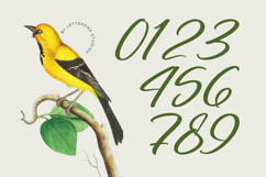 Nostalgic Pictures - Casual Calligraphy Font Product Image 7