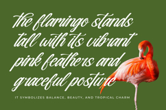 Nostalgic Pictures - Casual Calligraphy Font Product Image 10