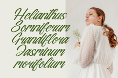 Nostalgic Pictures - Casual Calligraphy Font Product Image 11