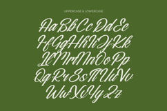 Nostalgic Pictures - Casual Calligraphy Font Product Image 12