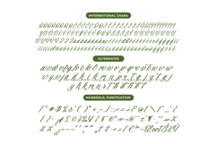 Nostalgic Pictures - Casual Calligraphy Font Product Image 13