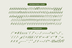 Nostalgic Pictures - Casual Calligraphy Font Product Image 14