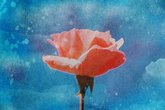 Nostalgic Watercolor Photo Effect Product Image 5