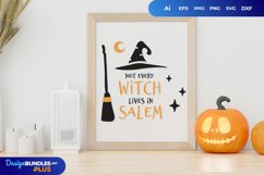 Not every Witch Lives in Salem SVG Product Image 2