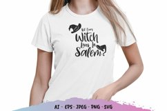 Not Every Witch Lives in Salem SVG File Product Image 1