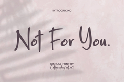 Not For You Font Product Image 1