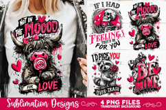 Sarcastic Valentine PNG Funny Sublimation 4 Designs Product Image 1
