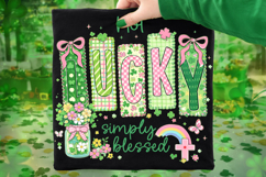 Not Lucky Simply Blessed St Patrick's Day PNG, Irish PNG Product Image 7