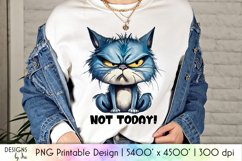 Not Today Funny Cat Sublimation | Grumpy Cat Printable PNG Product Image 1