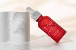 Notheli Dahlia - Stylish Beauty Script Font Product Image 4