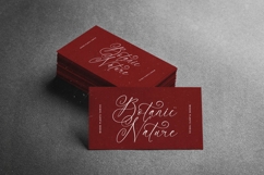 Notheli Dahlia - Stylish Beauty Script Font Product Image 5