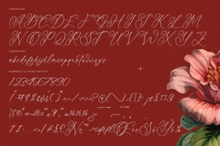 Notheli Dahlia - Stylish Beauty Script Font Product Image 18