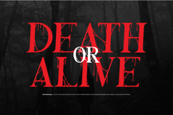 Nothing Inside | Horror Typeface Product Image 2
