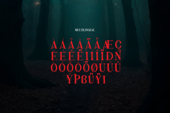 Nothing Inside | Horror Typeface Product Image 11