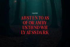 Nothing Inside | Horror Typeface Product Image 12