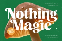 Nothing Magic - Groovy Serif Display Product Image 1