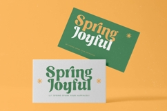 Nothing Magic - Groovy Serif Display Product Image 4