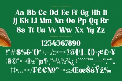 Nothing Magic - Groovy Serif Display Product Image 18