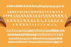 Nothing Magic - Groovy Serif Display Product Image 19