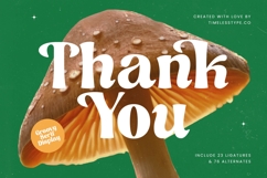 Nothing Magic - Groovy Serif Display Product Image 20