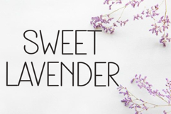 Nothing Sweet Product Image 3