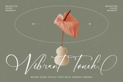 Nourisha Besthafi - Stylish Calligraphy Font Product Image 3