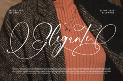 Nourisha Besthafi - Stylish Calligraphy Font Product Image 7