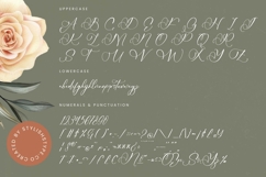 Nourisha Besthafi - Stylish Calligraphy Font Product Image 18