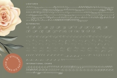 Nourisha Besthafi - Stylish Calligraphy Font Product Image 19