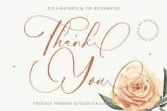 Nourisha Besthafi - Stylish Calligraphy Font Product Image 20