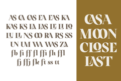 Nouvel Amour - A Modern Luxury Serif Product Image 12