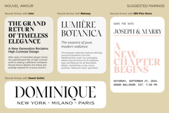 Nouvel Amour - A Modern Luxury Serif Product Image 15