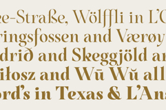 Nouvel Amour - A Modern Luxury Serif Product Image 3