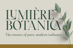 Nouvel Amour - A Modern Luxury Serif Product Image 8